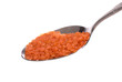 Red Lentil