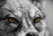 regard inquietant.