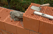 bricklayer