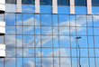 modern building of business center
