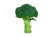 Photo: Green fresh broccoli isolated on white background Green fresh broccoli isolated on white background
