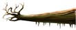 Deadwood - detailed source illustration