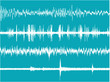 Vector Oscillations