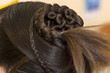 coiffure 23
