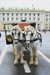 Palace Square, St Petersburg, Russia