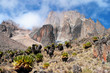 Mount Kenya, Africa Mount Kenya, Africa