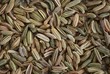 fennel seeds