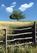 barajevo- 022