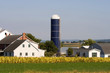 Typical Amish farm in Lancaster county without electricity.