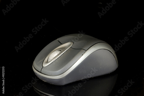 mouse mouse