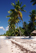Saona,The Dominican Republic