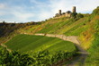 Burg Thurant