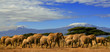 Photo: Kilimanjaro And Elephants Kilimanjaro And Elephants