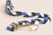 dog leash isolated on a white background