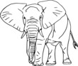 Vector - contour elephant isolated on white background Vector - contour elephant isolated on white background