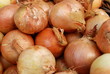 Oignons
