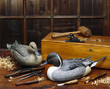 Ducks unlimited