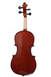 Violin isolated over a white background with path