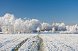 frost and a blue sky