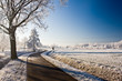frost and a blue sky
