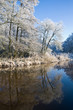 frost and a blue sky