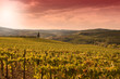 tramonto