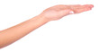 empty hand on a isolated background empty hand on a isolated background