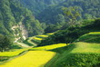 village OKURA