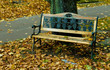 Old bench in the park