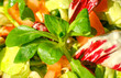 Fresh salad