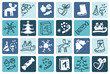Christmas blue