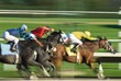 Photo: Three racing horses in fierce competition for the finish line Three racing horses in fierce competition for the finish line