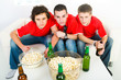 Sport supporters