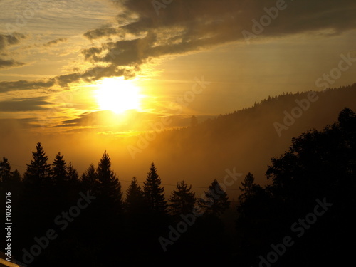 Sonnenaufgang bei Nebel im Schwarzwald