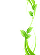 Concept nature