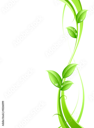 Concept nature Concept nature
