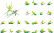 Big set icons. Insects