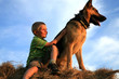 Boy with big dog on meadow