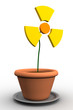 Radioflower