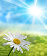 Nature Natur