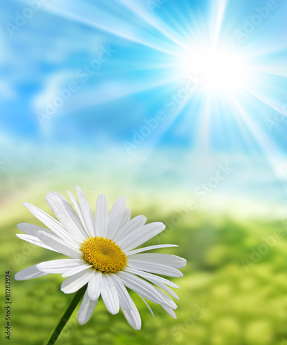 Photo: Nature Natur Nature Natur