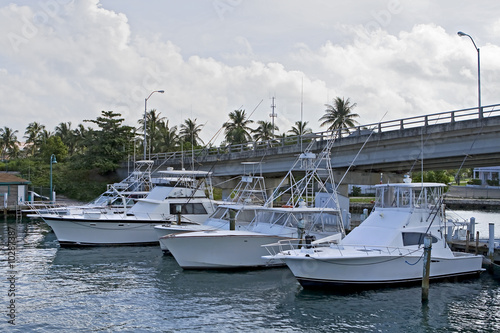 Newport Deep  Fishing on Maximum Inclusive Deep Results Fish In The Newport Beach Charter