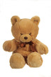 A big teddy bear isolated on white, looking angry