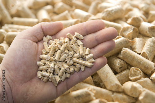 Pellets
