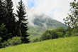 Nature verte