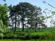 Paysage Nord 2008