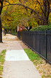 lack iron fence runs along this tree lined sidewalk in boston