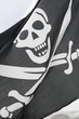 drapeau , pirate,pirates,tête ,mort,squelette