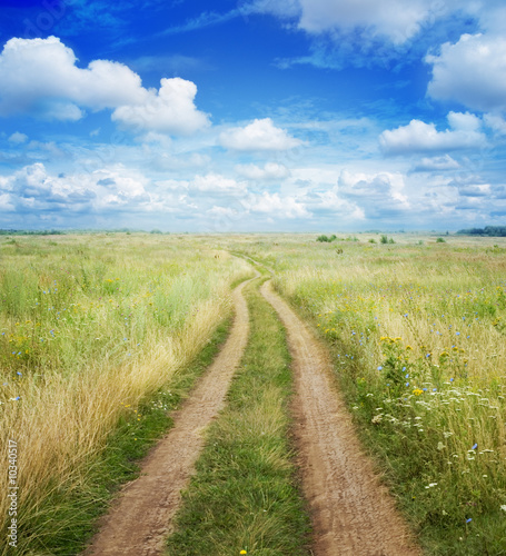 Photo: landscape landscape