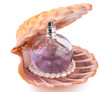 A bottle of perfume in a pink natural sea shell on white A bottle of perfume in a pink natural sea shell on white